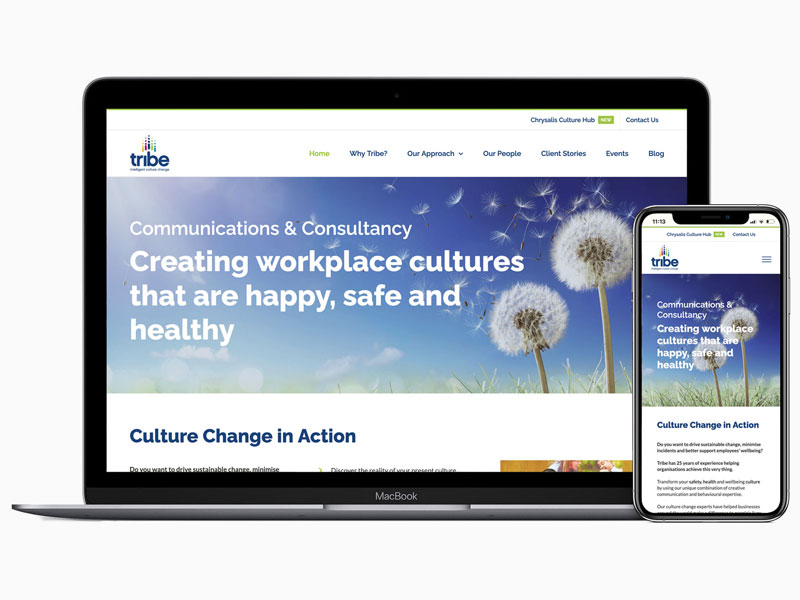 Multi-disciplined graphic design – WordPress website for Tribe Culture Change