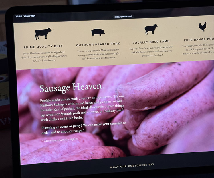 website-3